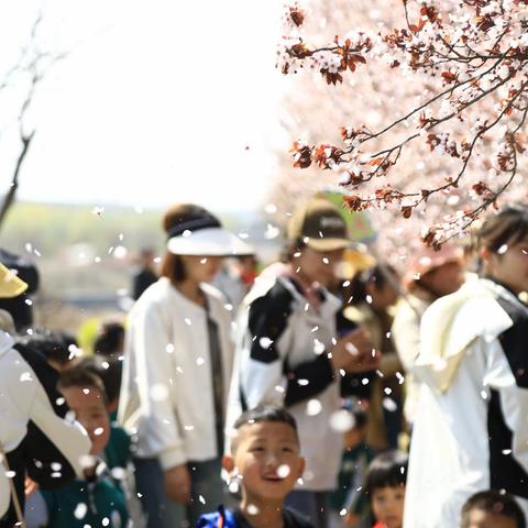 春回大地，与萌娃共赴春日之约！——青岛西海岸新区宝山中心幼儿园春游活动