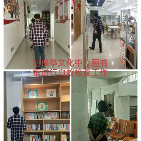 海南省保亭县文化中心2024年第一轮白蚁防治工作施工美篇