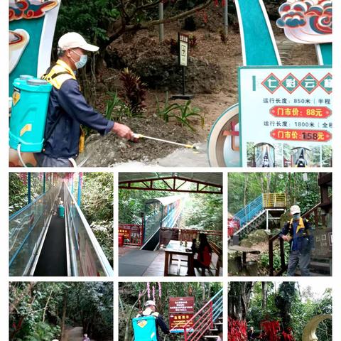 海南省保亭县七仙岭国家森林公园景区2024年2月5日杀虫灭蚂蚁施工服务汇总报告