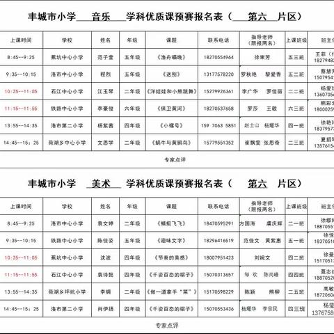 高山流水  落英缤纷——丰城市小学（第六片区）音乐、美术优质课预赛纪实