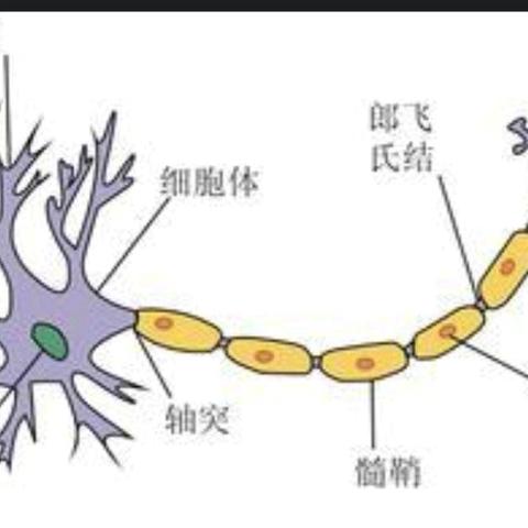 走进脑科学