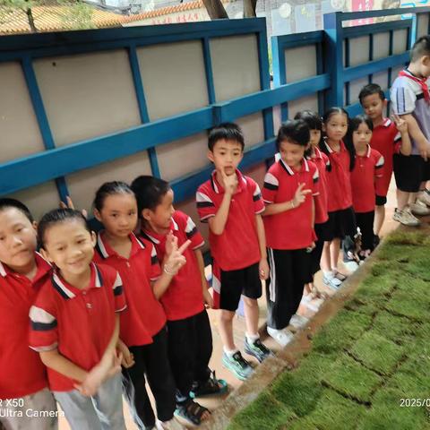 古定中心小学2405班参与“校园大成•护绿员”活动纪实