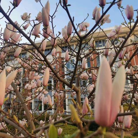 安全无小事 ——2022级6班