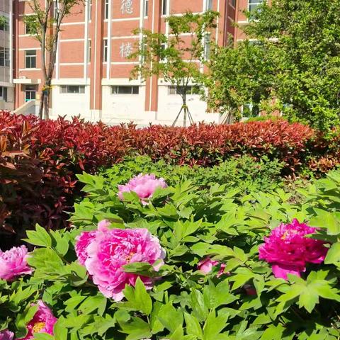 巧用时间 惜时增效 —— 2022级6班