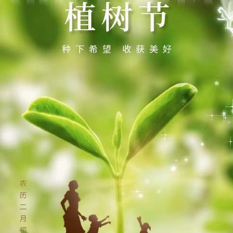 【金色时代幼儿园】 中班组3.12植树节活动