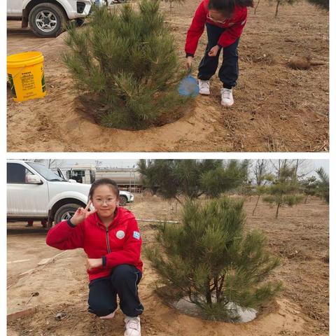 相逢植树节，爱在春风里