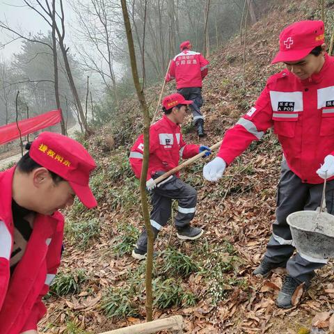 绿色地球，我们的责任 ——东阳市林业总场植树节公益徒步护林巡林活动 圆满落幕