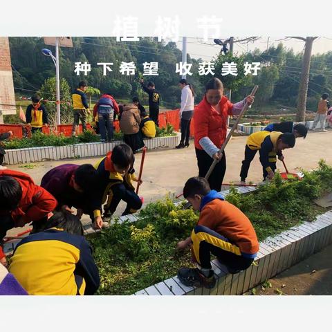 种下小树苗，劳动最光荣一乐民镇西角村士子小学植树节活动