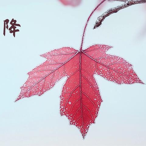 守护金融消费权益 共筑安全金融环境 ——银行金融知识宣传走进田家炳中学