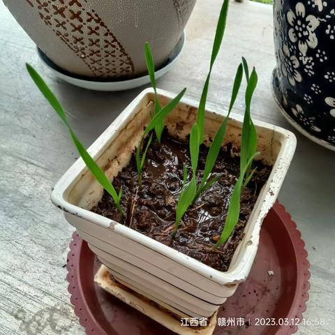 我与大自然共存