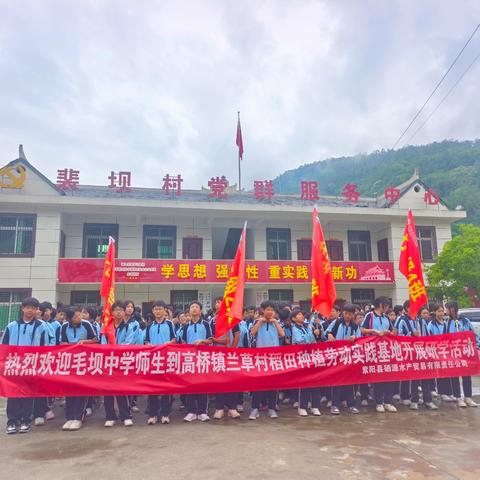 毛坝中学200余名师生解锁兰草村稻田里的自然课堂
