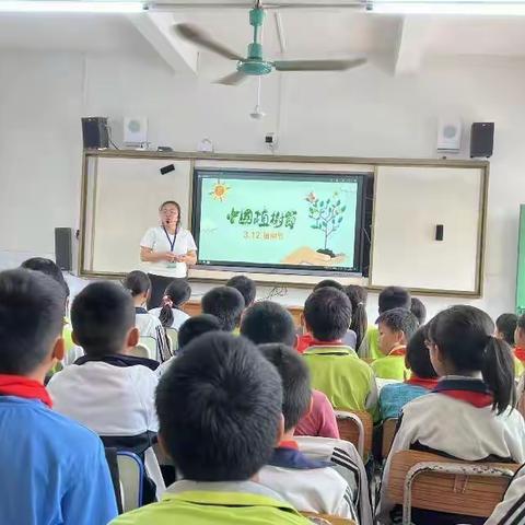 三波小学植树节|“植”此青绿，共建美好校园