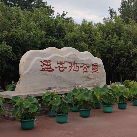 北京莲花池公园留影