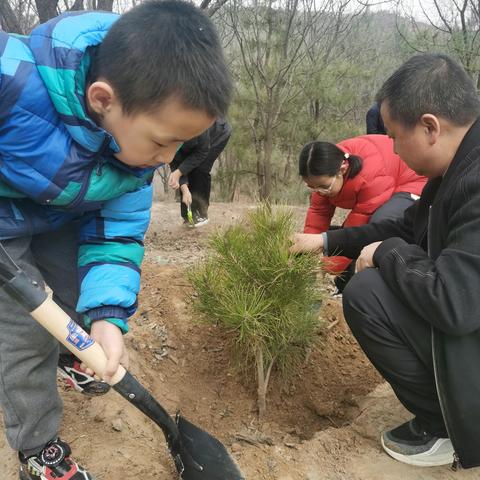 我与小树共成长——记城小一（5）班 植树活动