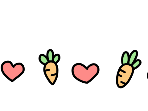 美妙“食”光 、 “厨”类拔萃