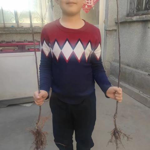 拥抱春天 守护绿色——实小4.7中队植树节在行动