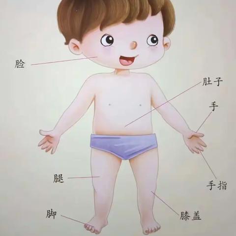 【课程故事】迪贝乐幼儿园小二班《我的身体》