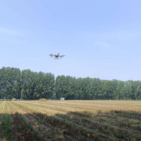 洛宁县林业局采用无人机施药方式防治杨树食叶害虫