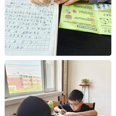 朗程新苗班《植物成长记》优秀作文展