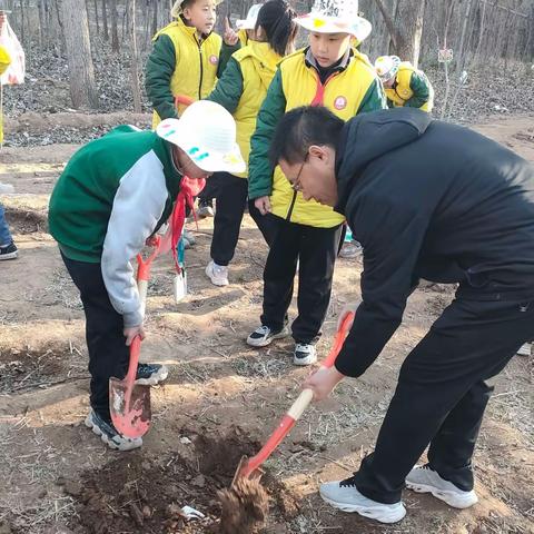 【东小故事】“种下希望，收获未来”——东关小学二四班植树节活动