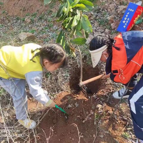 载下小树 绿了大地 润了人心