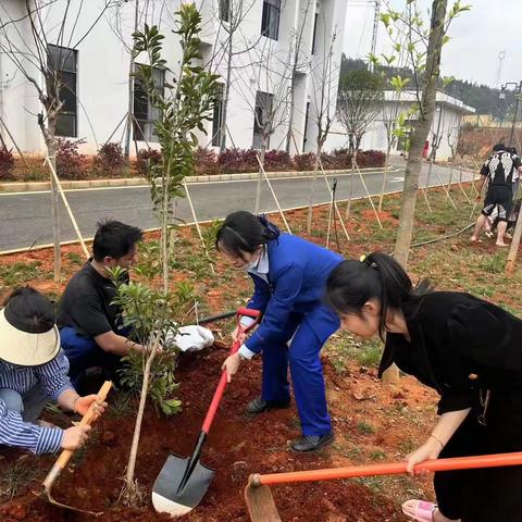 “值”此青绿 不负春光——峨山西收费站开展植树节活动