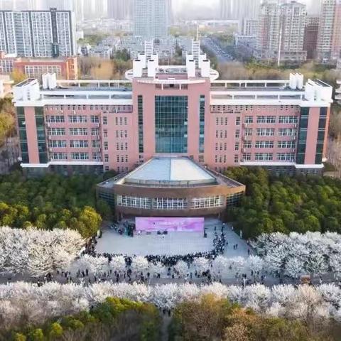 当樱花遇上雪花