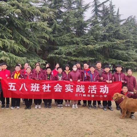 市一小 五八班 学雷锋月“弘扬雷锋精神，创建文明城市”实践活动