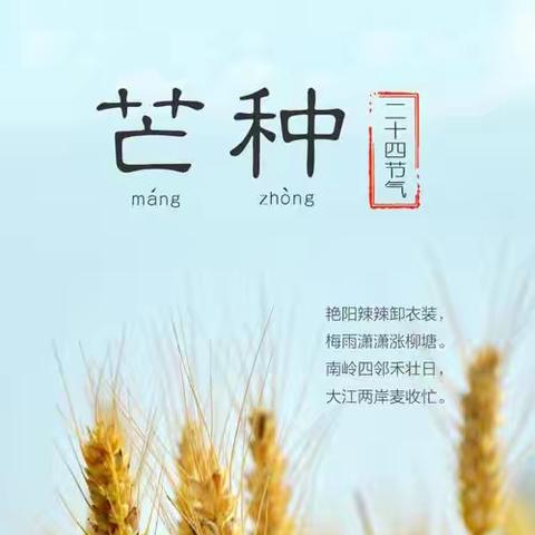 三门峡市第一小学四五班，开展了——“走进芒种，收获快乐”的实践活动