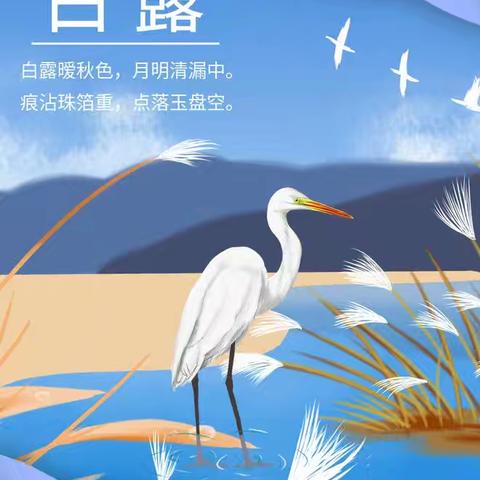 三门峡市一小五五班实践活动“秋风生白露，露至秋意浓”——二十四节气《白露》