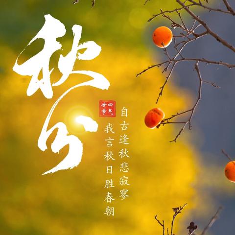 三门峡市第一小学五五班，秋分节气实践活动——“秋分至，共赏温柔时光”