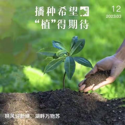 智学之家植树节活动——种下一颗树，让梦想与种子一起成长