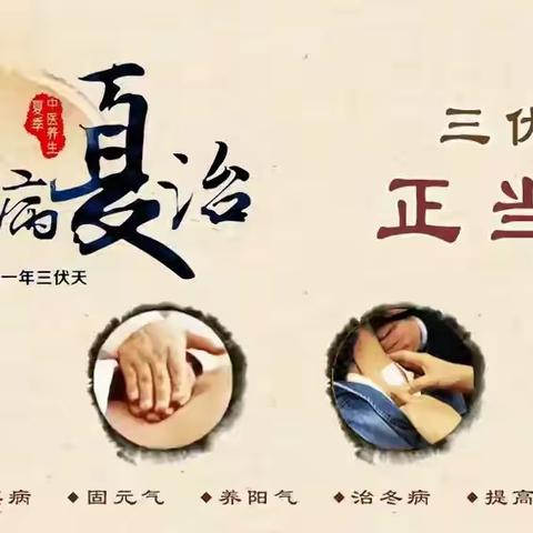 【中医小贴士】“炎炎夏日三伏至，健康守护正当时”——凤冈县人民医院新建分院三伏贴免费开贴啦~