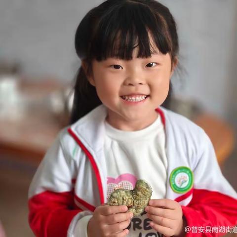 南湖一幼大一班清明节美味清明粑主题活动