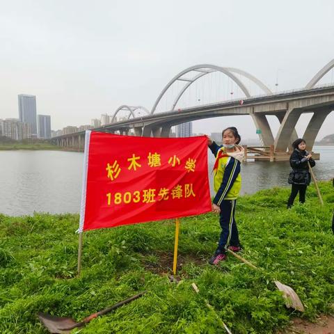 植树节快乐