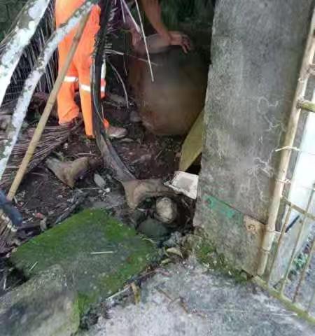 党建引领清积水 筑牢防线护民生