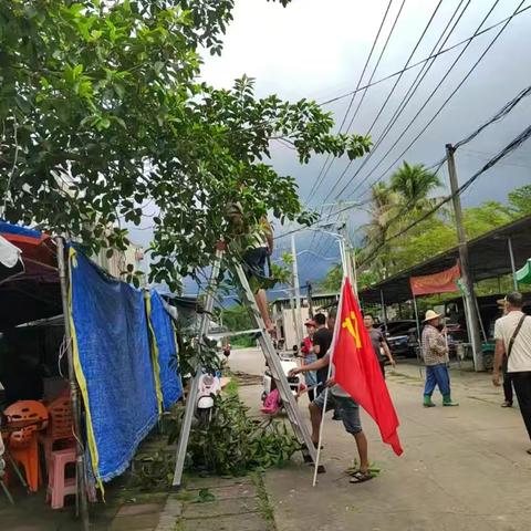 党建引领，共筑防御“桦加沙”安全防线