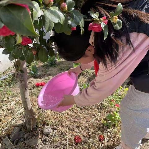 植树节，给地球一点色彩，一起行动起来。