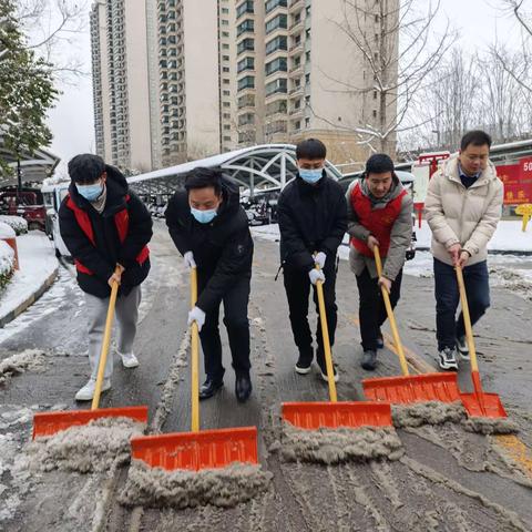 东城区天宝路街道恒大绿洲社区开展“清积雪党员先，暖心行动显志愿”志愿服务活动