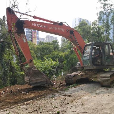 航城街道龙津村 清理陈年垃圾，还原青山本色