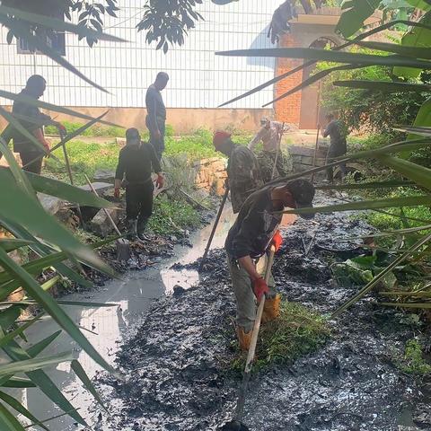 航城街道龙津村 清沟扫地摆整齐 房前屋后大清理