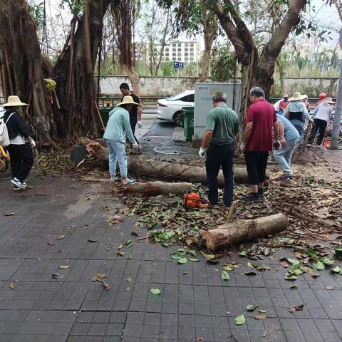 “摩羯”无情人有情——蓝天司法所矫正对象积极参与社区灾后重建公益活动