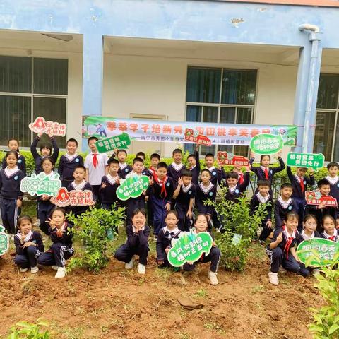 莘莘学子培新秀 田田桃李笑春风——南宁市秀田小学恒大新城分校三（4）班开展植树研学系列活动