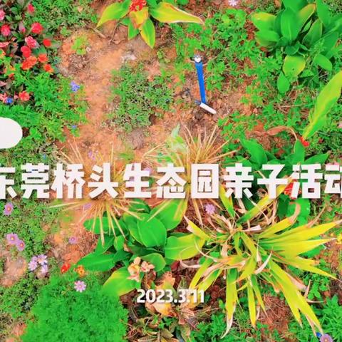 春暖花开，一起“趣”玩！——龙外四（2）班春游记