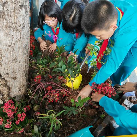 民众中心小学开展“相约春天，共植希望”植树活动