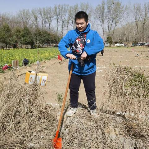 郑州八中，让我们共同呵护我们的地球母亲