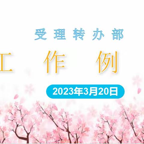 受理转办部工作例会—3月20日