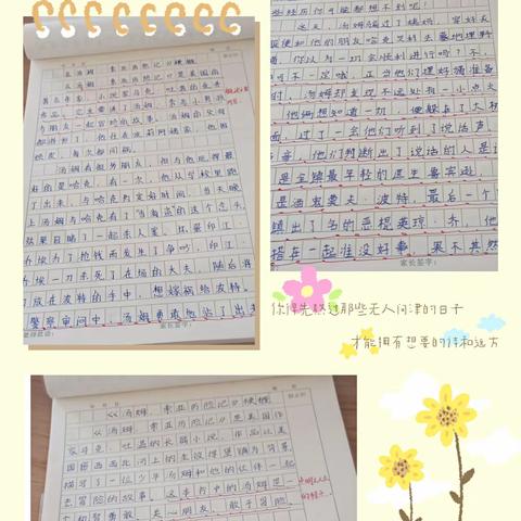走进《汤姆•索亚历险记》——六年级四月份读书汇报