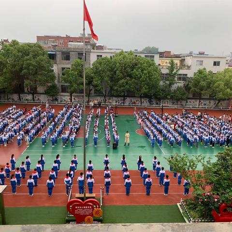 劳动“润”童心，美德践于行——四五中队《让青春在劳动中闪光》主题队会活动