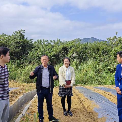 县委副书记、政法委书记李锋到七坊镇木棉村调研乡村振兴产业发展情况
